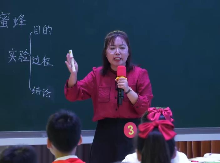 宿彩霞，《蜜蜂》，三年級(jí)下冊(cè)，第四單位