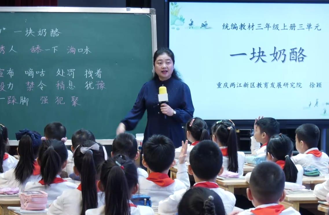 徐穎《一塊奶酪》，三年級上冊